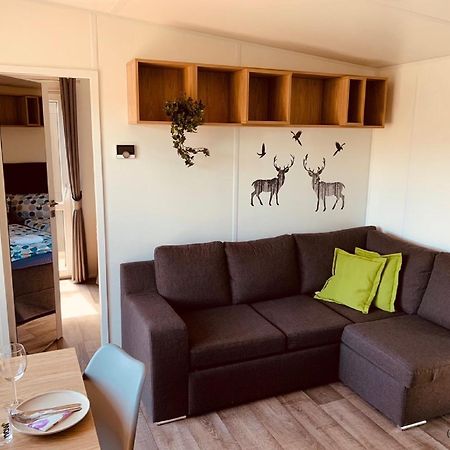 Villa Tinyhaus Im Altmuehltal Beilngries Exterior foto